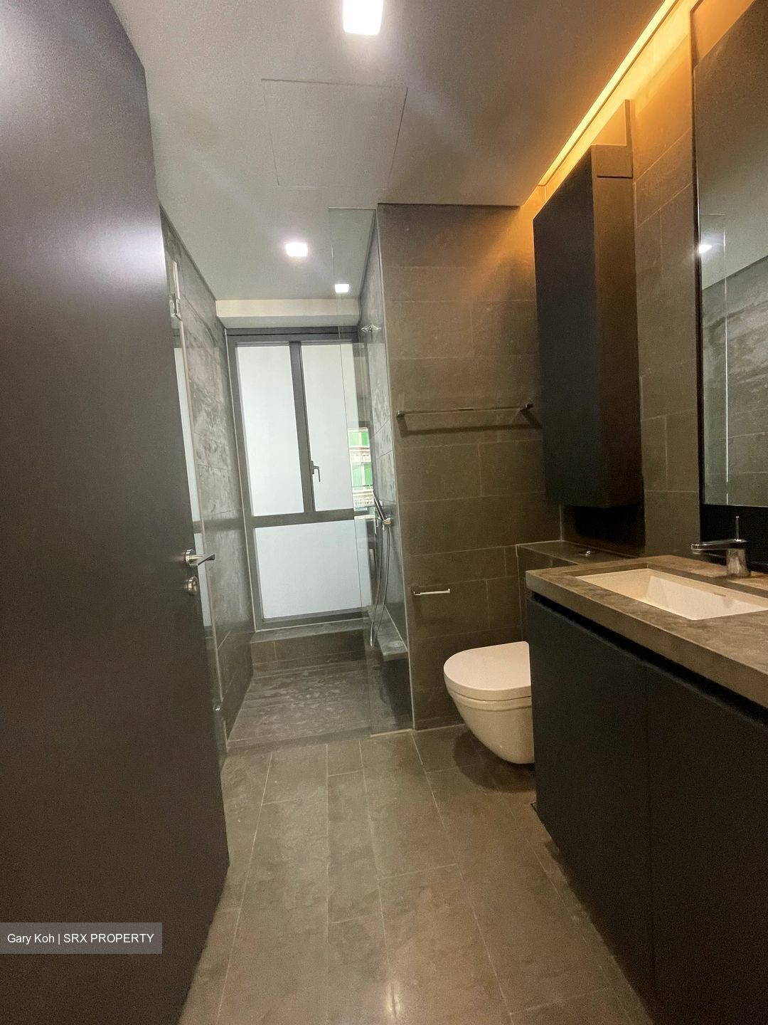 Skysuites@Anson (D2), Apartment #572989881